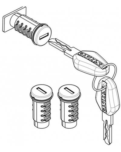 SHAD replacement locks & keys TERRA D1TRBOR